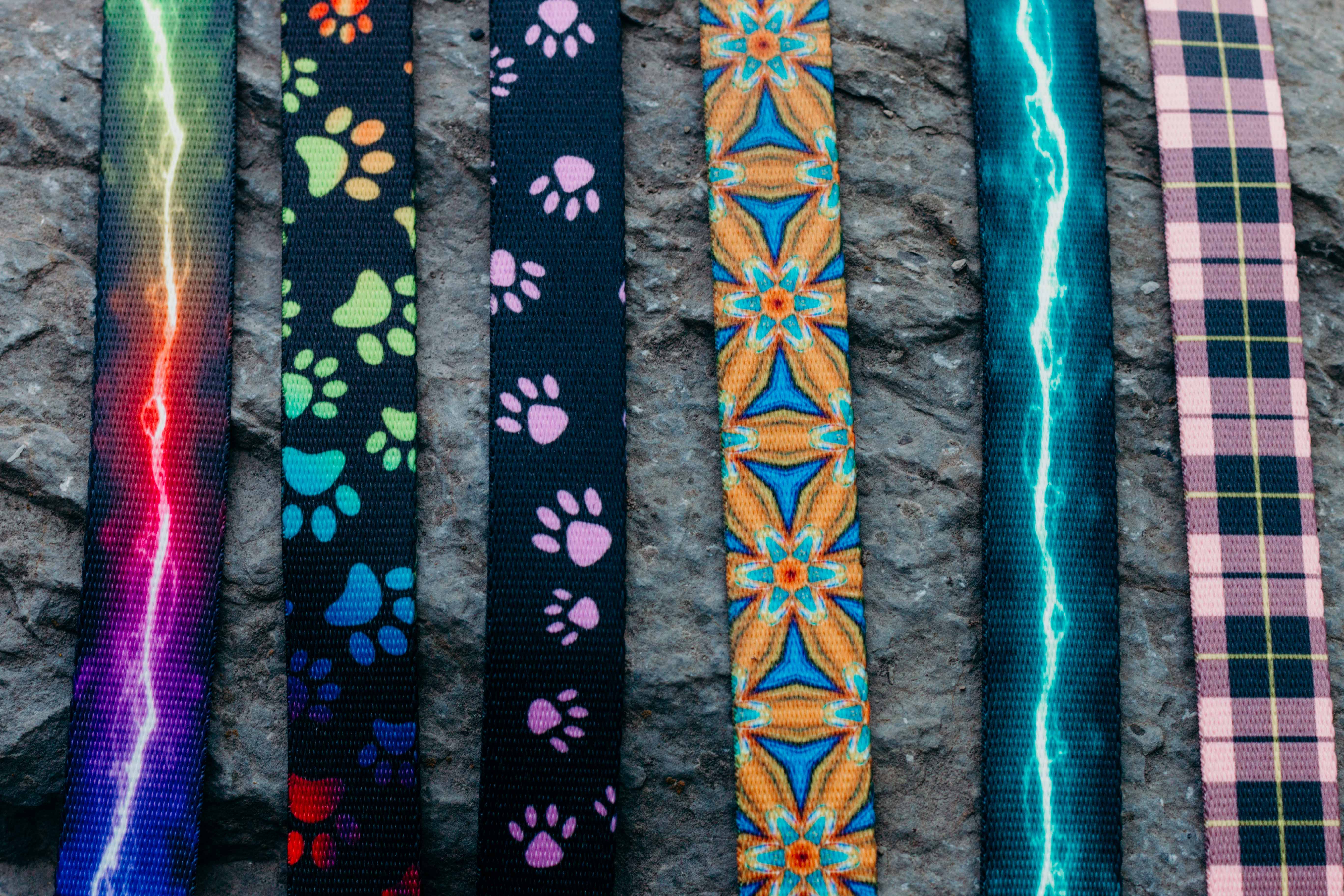 Leashes- Stylish and Strong