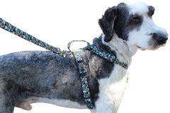 No pull, 3 in 1 Harnesses- Magnetic one handed buckle