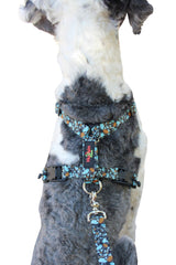 No pull, 3 in 1 Harnesses- Magnetic one handed buckle