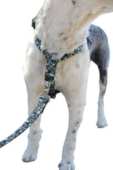 No pull, 3 in 1 Harnesses- Magnetic one handed buckle