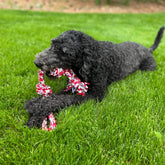 USA made Dog Rope Toys! Eco-Friendly