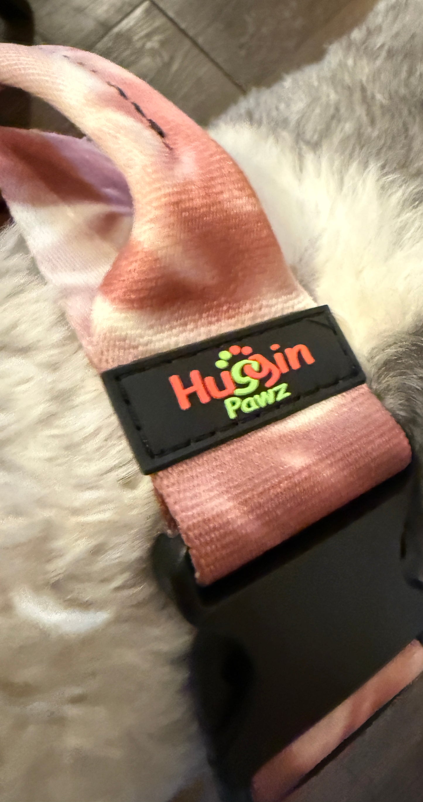 BIG DOG Collars w/handle