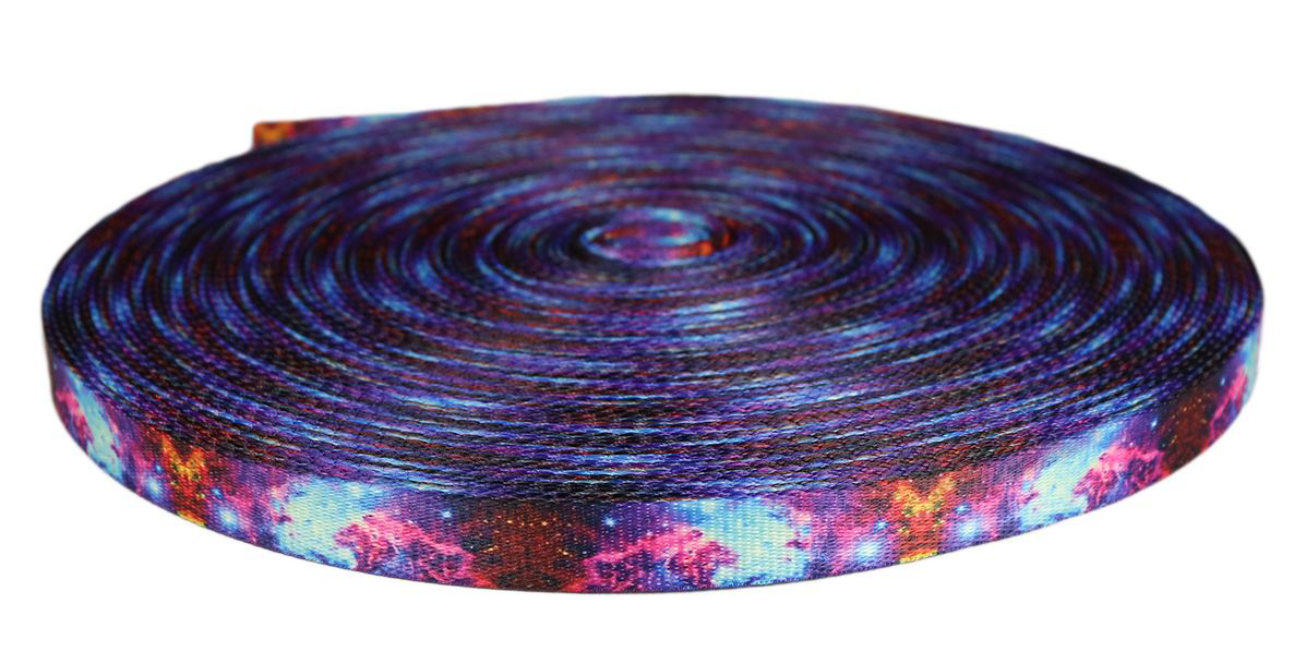 4 Ft Leash- 3/4” webbing- for smaller breeds