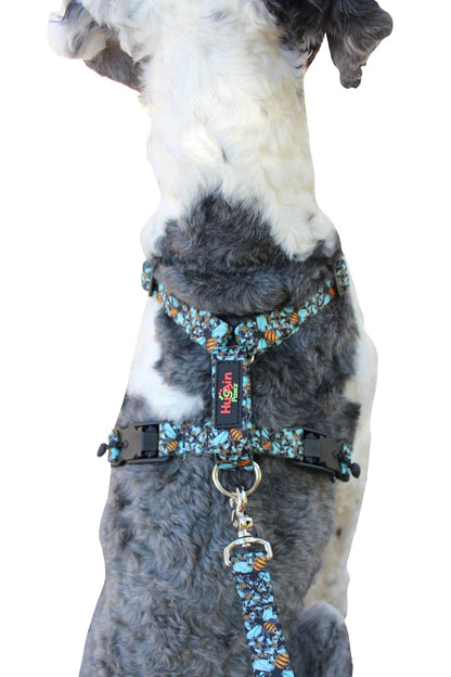 No pull, 3 in 1 Harnesses- MAGNETIC one handed buckle