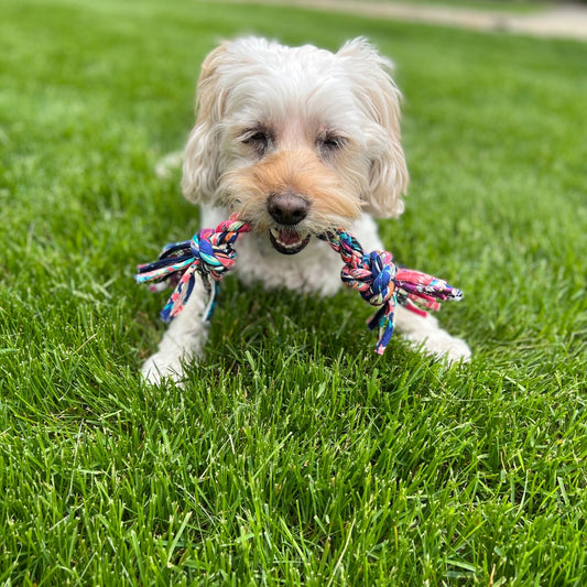 USA made Dog Rope Toys! Eco-Friendly