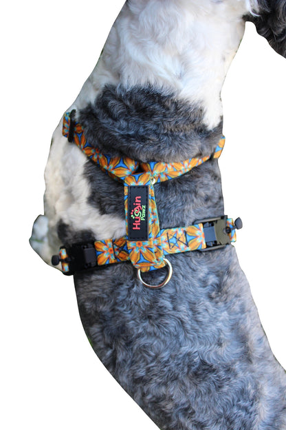 No pull, 3 in 1 Harnesses- MAGNETIC one handed buckle