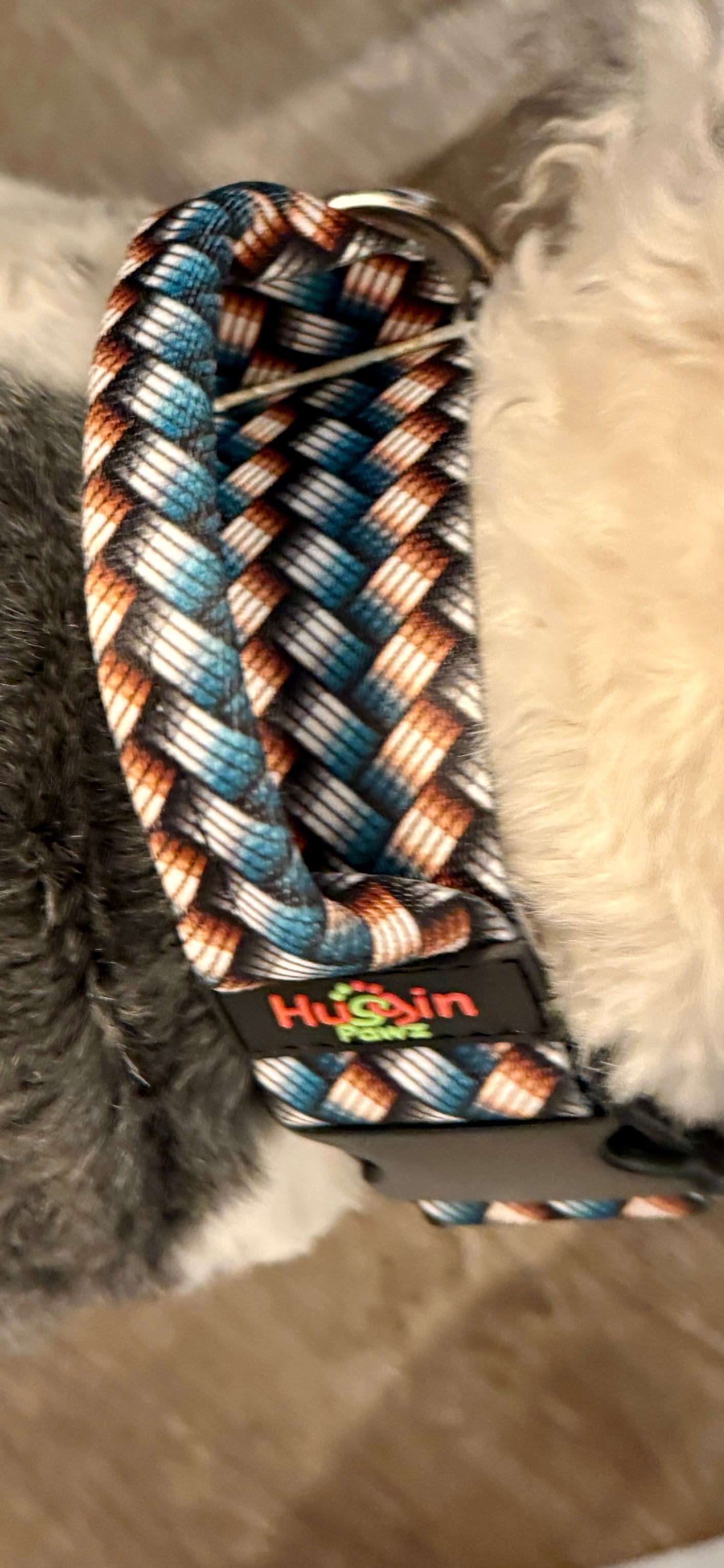 BIG DOG Collars w/handle