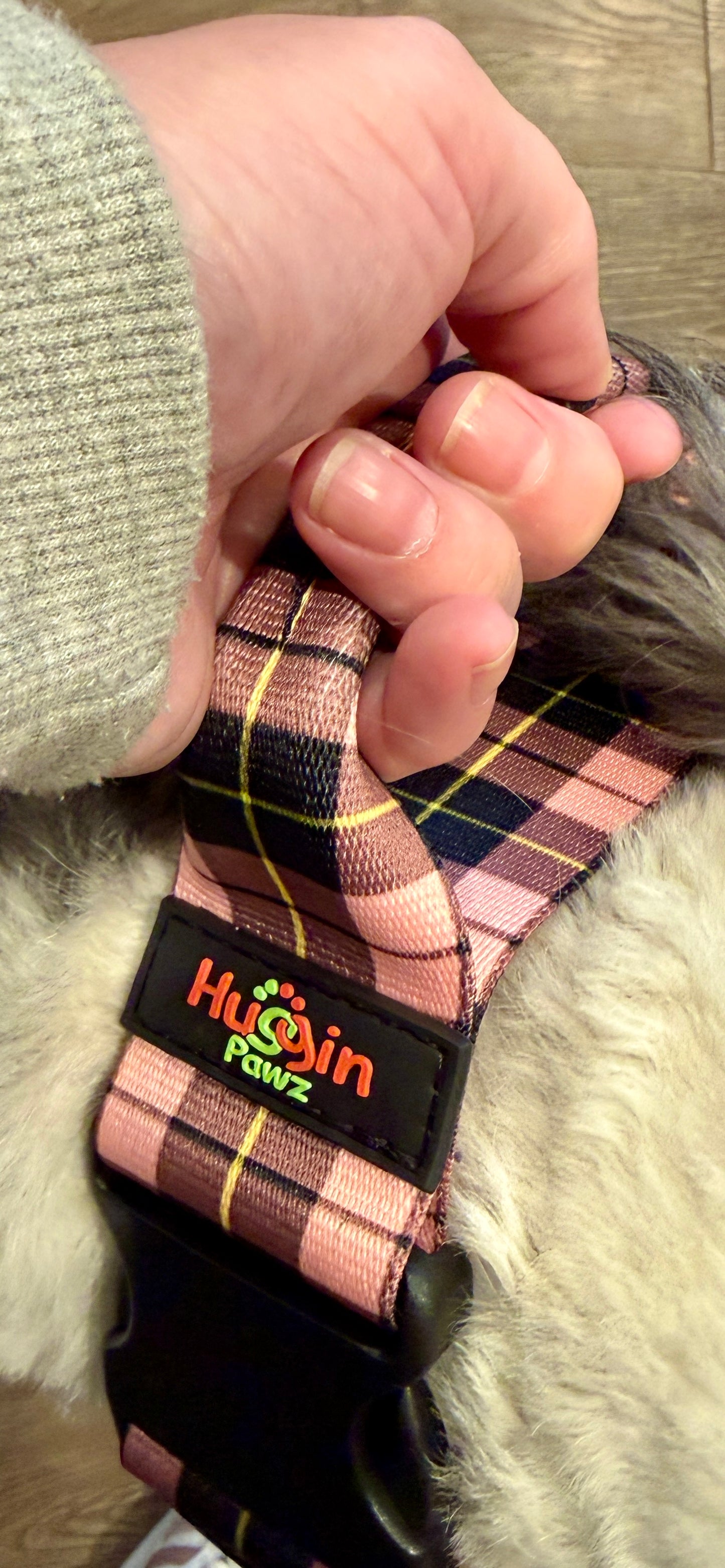 BIG DOG Collars w/handle