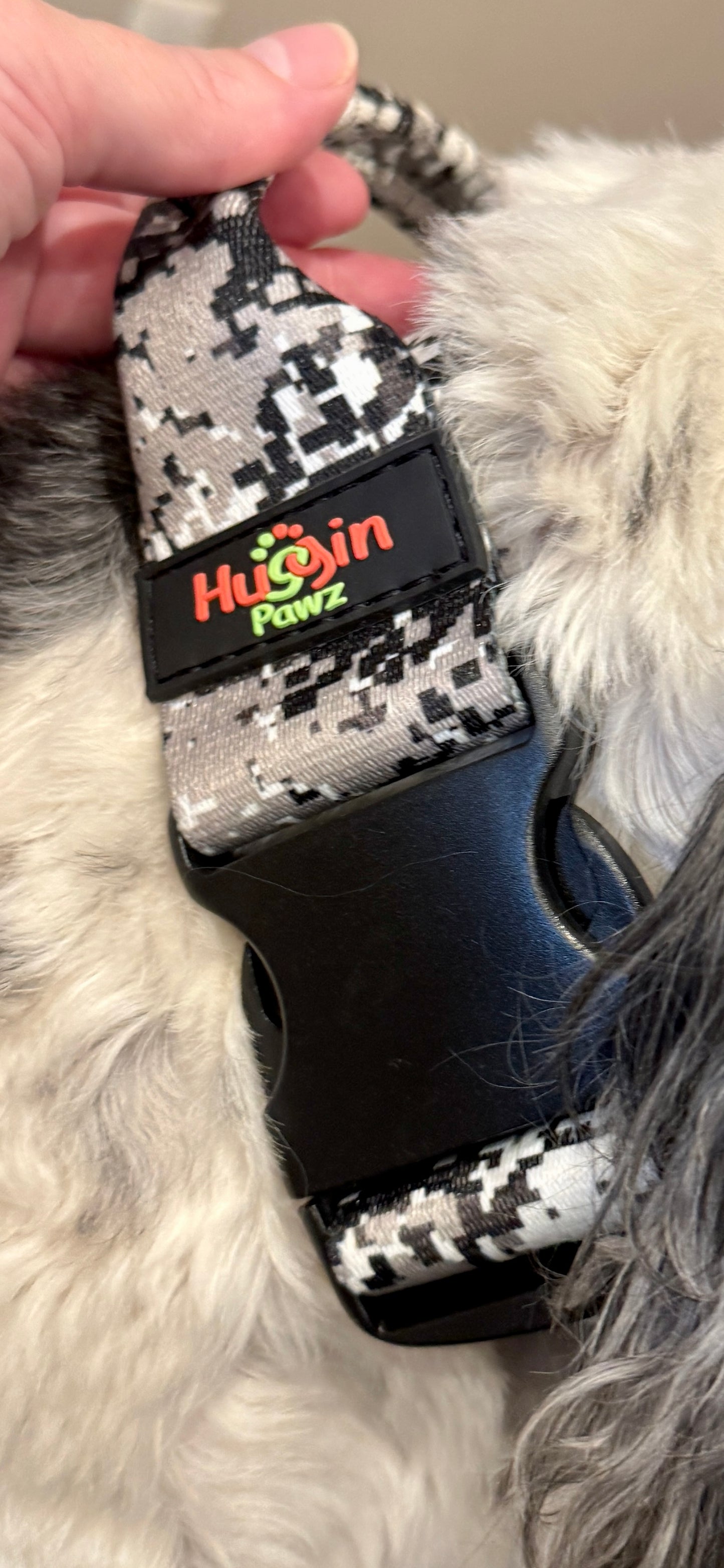 BIG DOG Collars w/handle