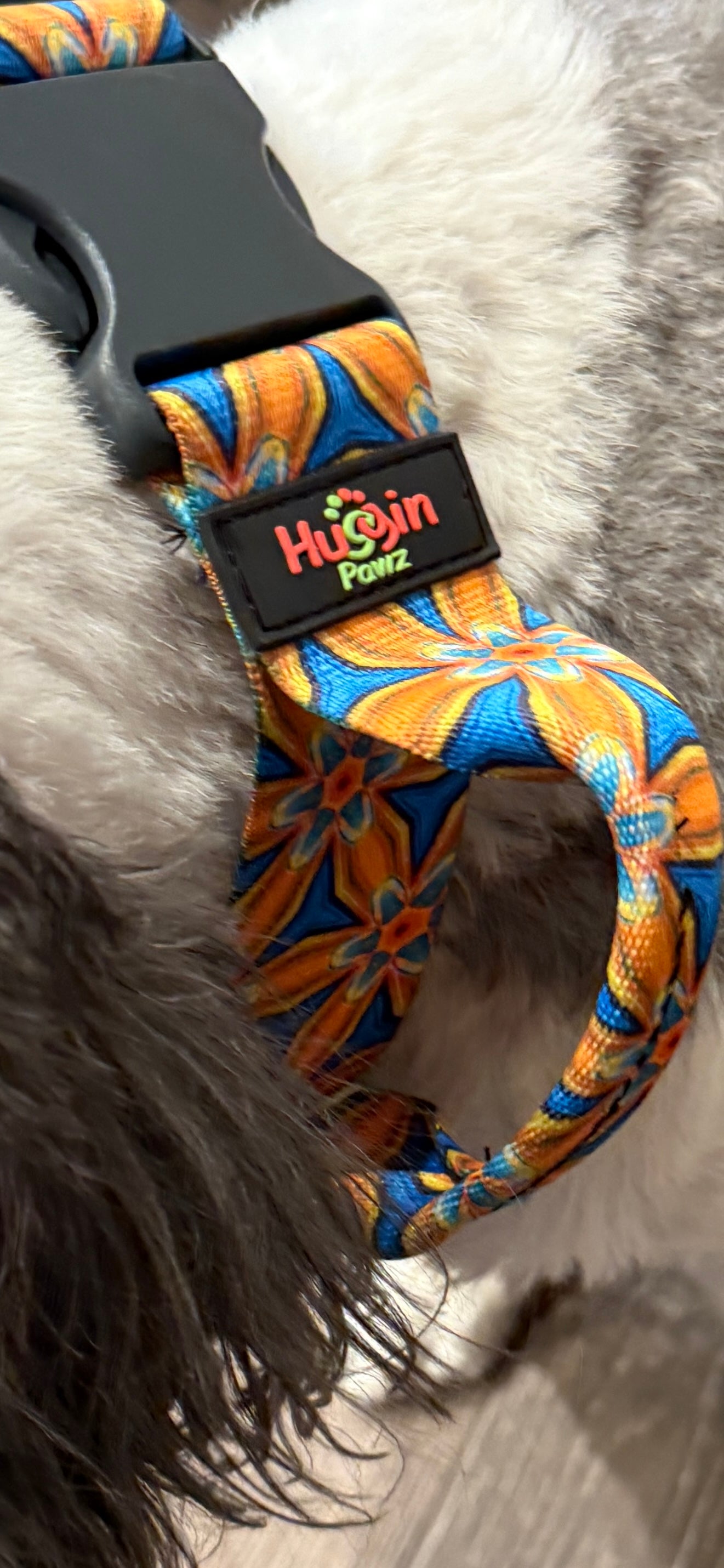 BIG DOG Collars w/handle