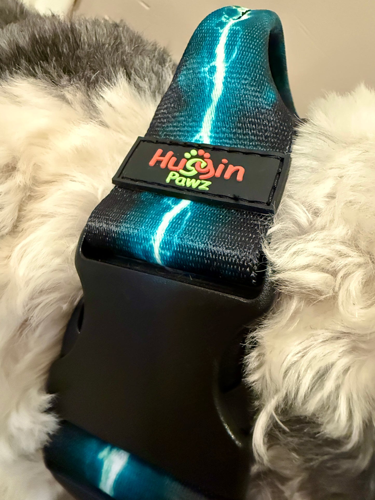 BIG DOG Collars w/handle