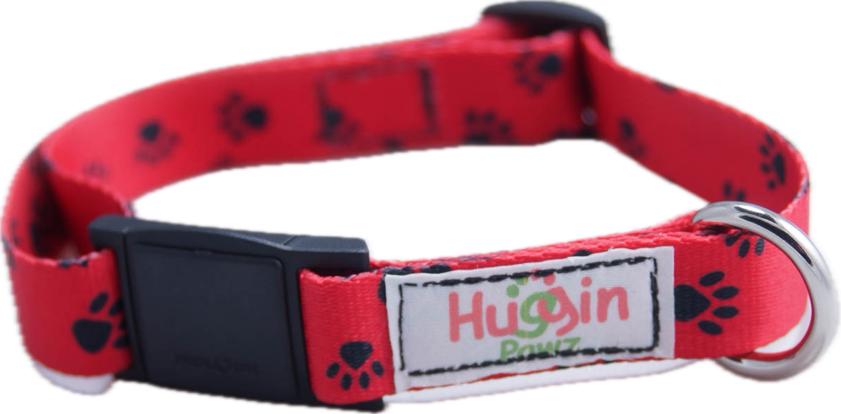 Magnetic Buckle Dog Collar