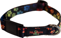 Small breeds- MAGNETIC Buckle Dog Collar- 3/4” webbing