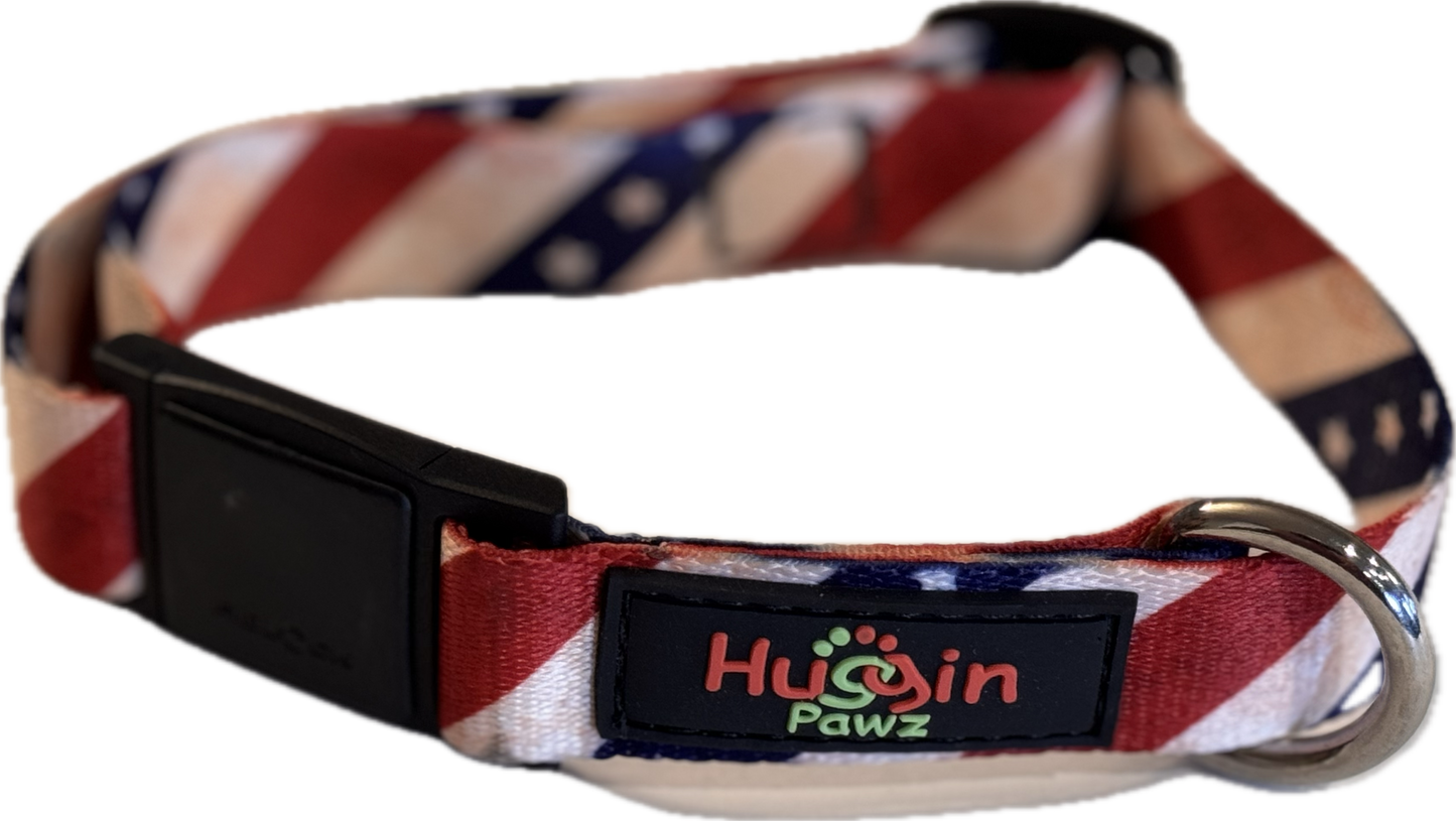 Magnetic Buckle Dog Collar