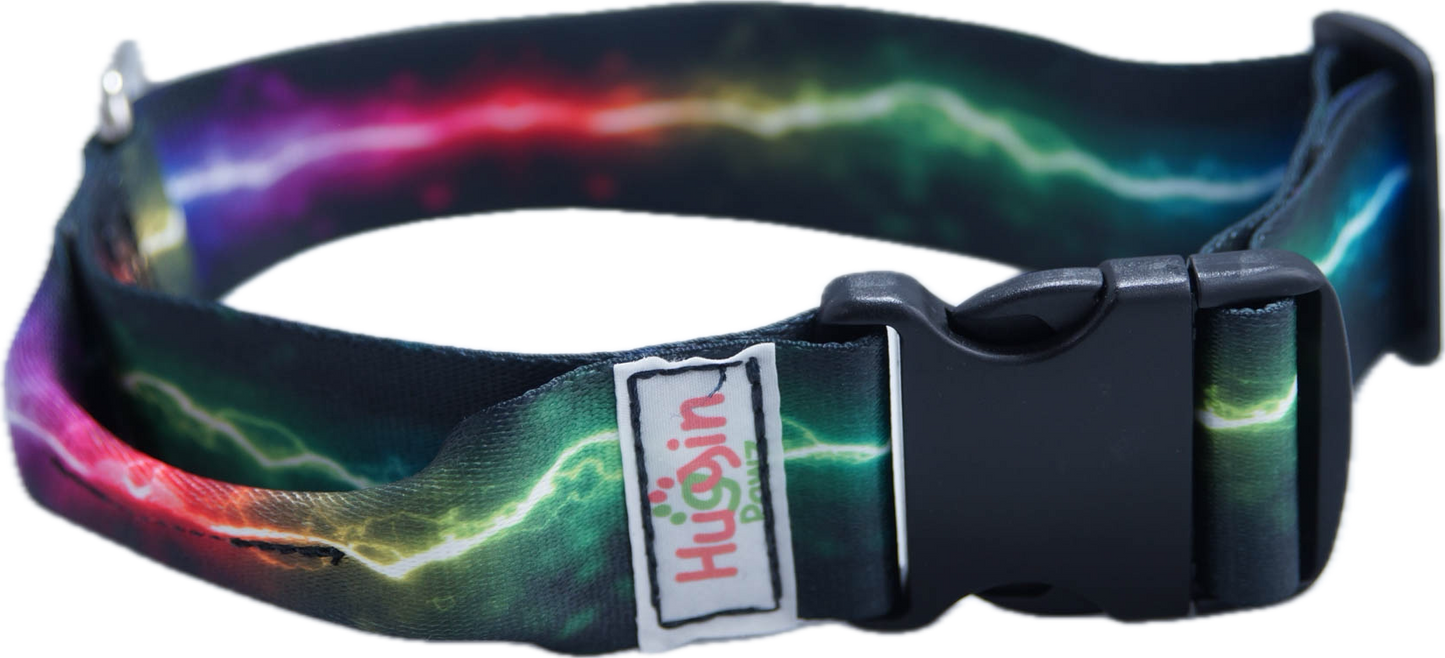 BIG DOG 2 Inch Collars