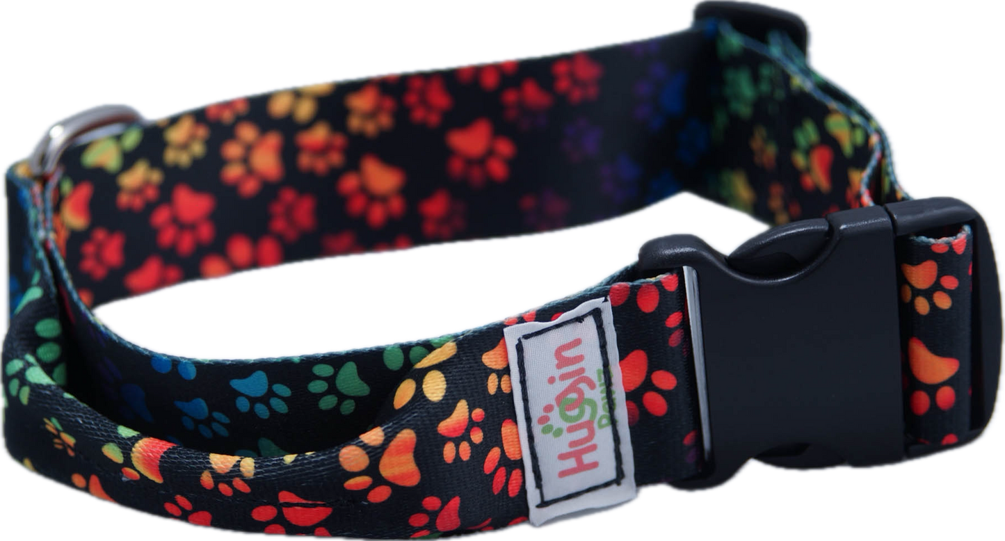 BIG DOG 2 Inch Collars