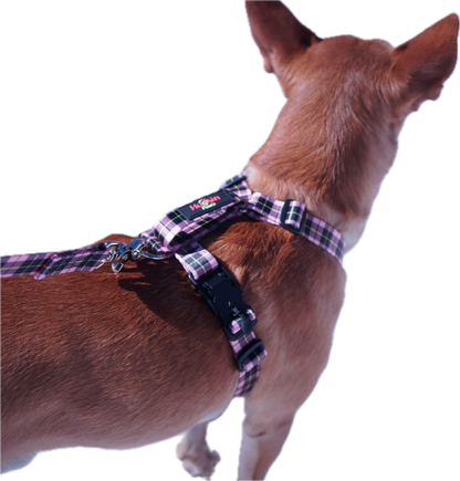 No pull, 3 in 1 Harnesses- MAGNETIC one handed buckle