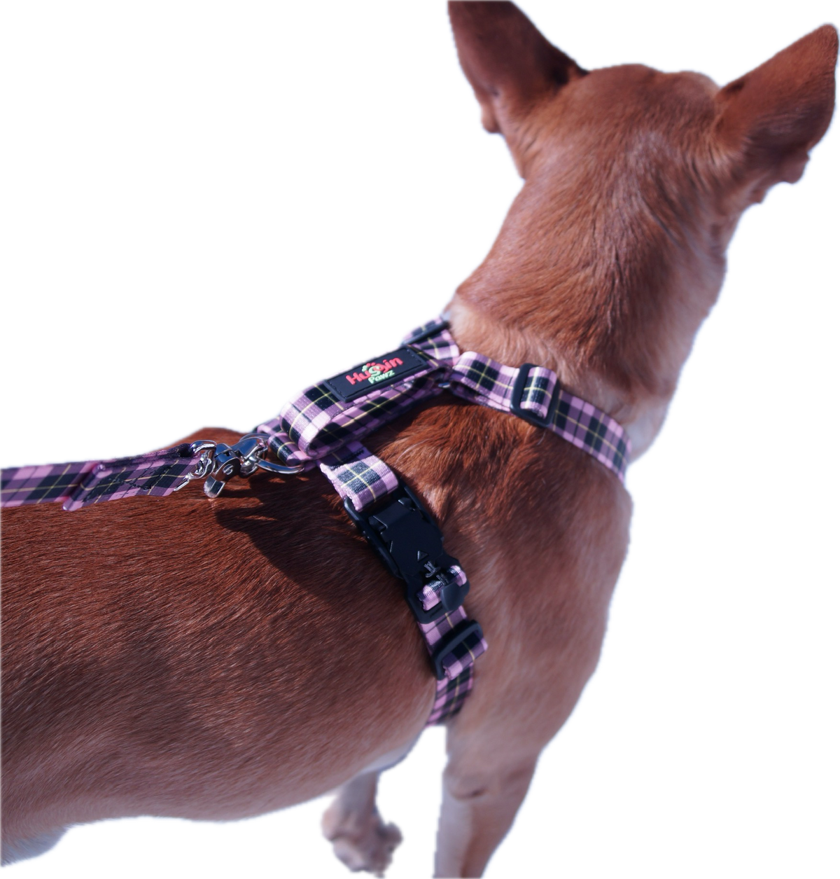 No pull, 3 in 1 Harnesses- Magnetic one handed buckle