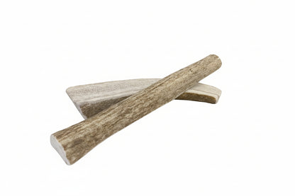 Elk Antlers- Premium Grade- USA