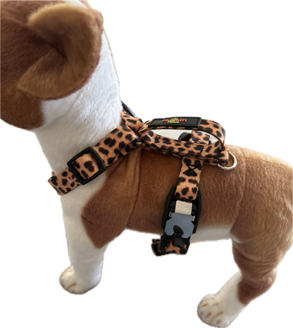 No pull, 3 in 1 Harnesses- MAGNETIC one handed buckle