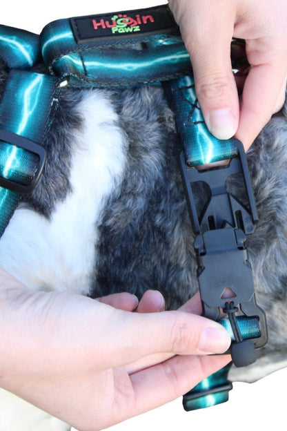 No pull, 3 in 1 Harnesses- MAGNETIC one handed buckle
