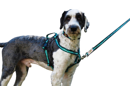 No pull, 3 in 1 Harnesses- MAGNETIC one handed buckle