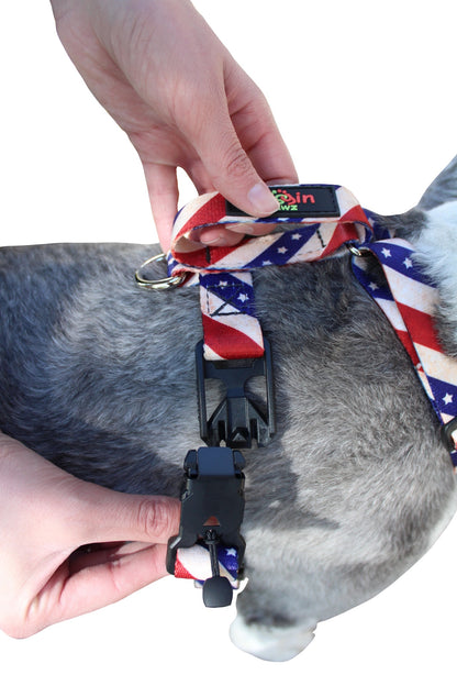 No pull, 3 in 1 Harnesses- MAGNETIC one handed buckle