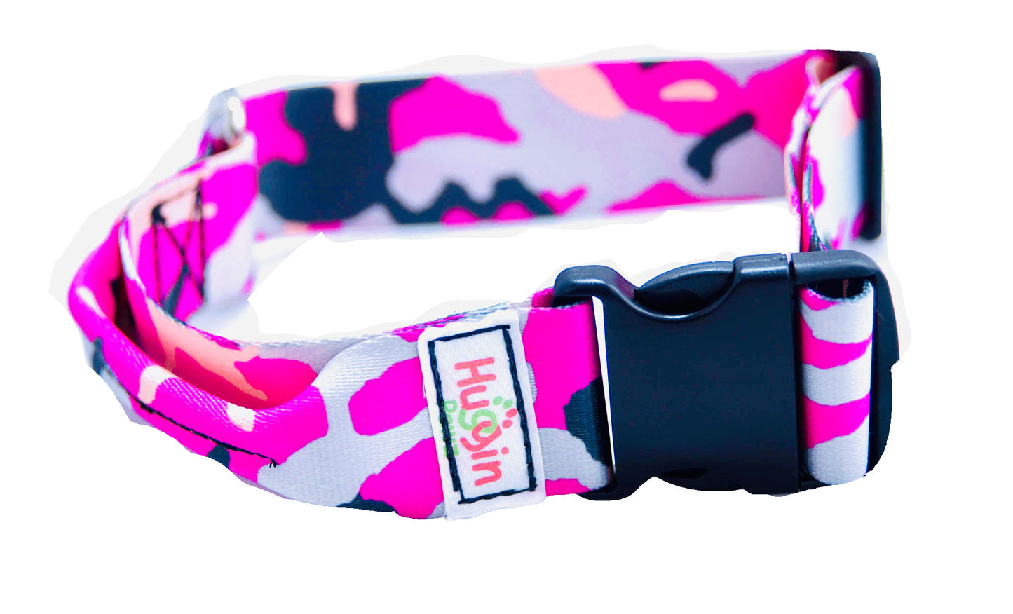 BIG DOG 2 Inch Collars