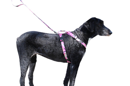 No pull, 3 in 1 Harnesses- MAGNETIC one handed buckle