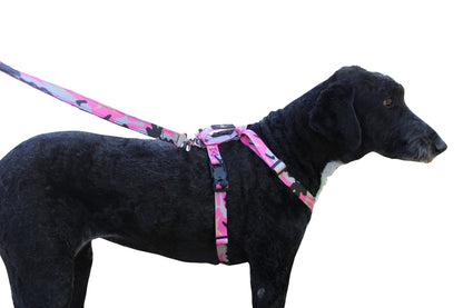 No pull, 3 in 1 Harnesses- MAGNETIC one handed buckle