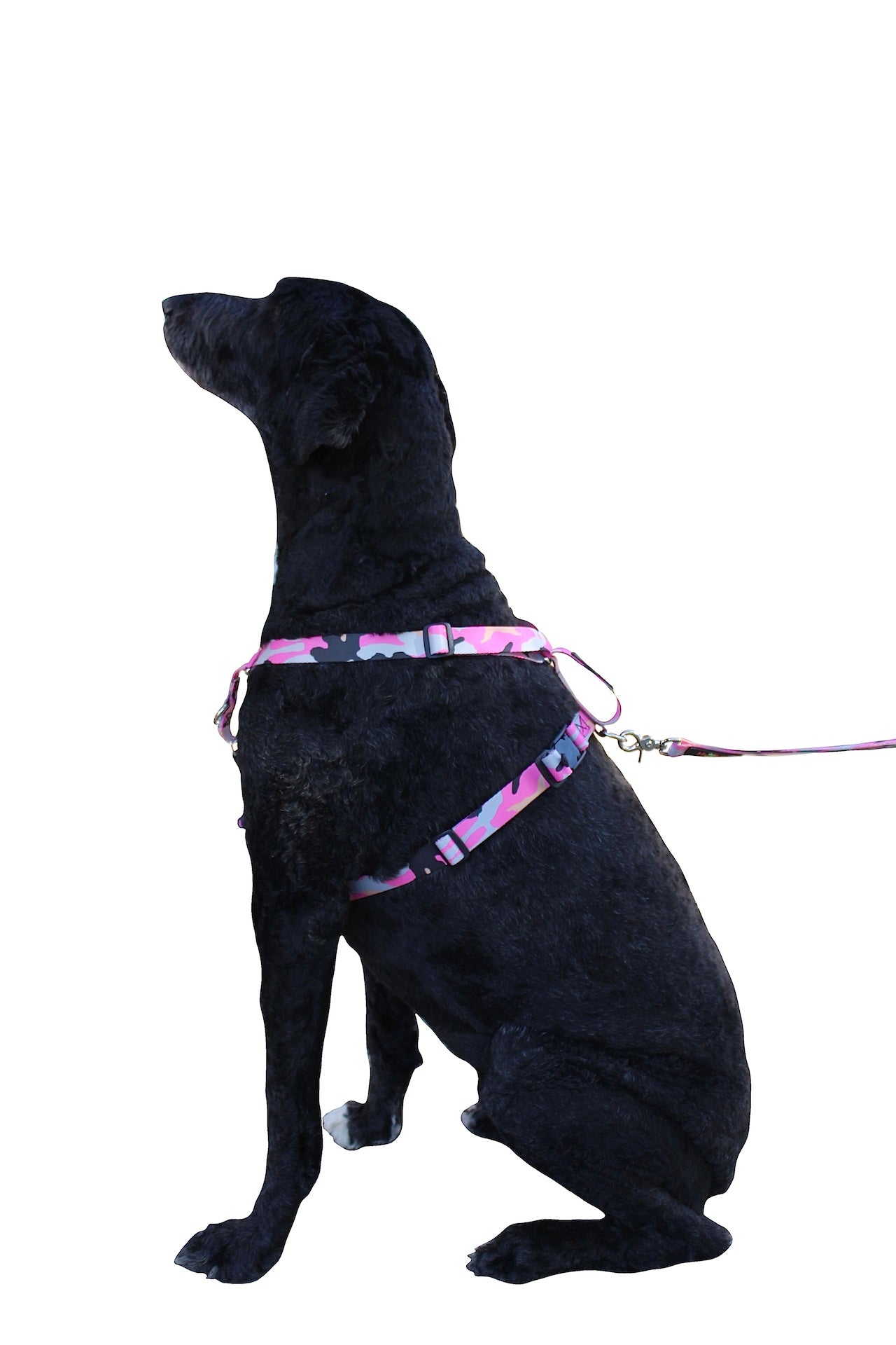 No pull, 3 in 1 Harnesses- Magnetic one handed buckle