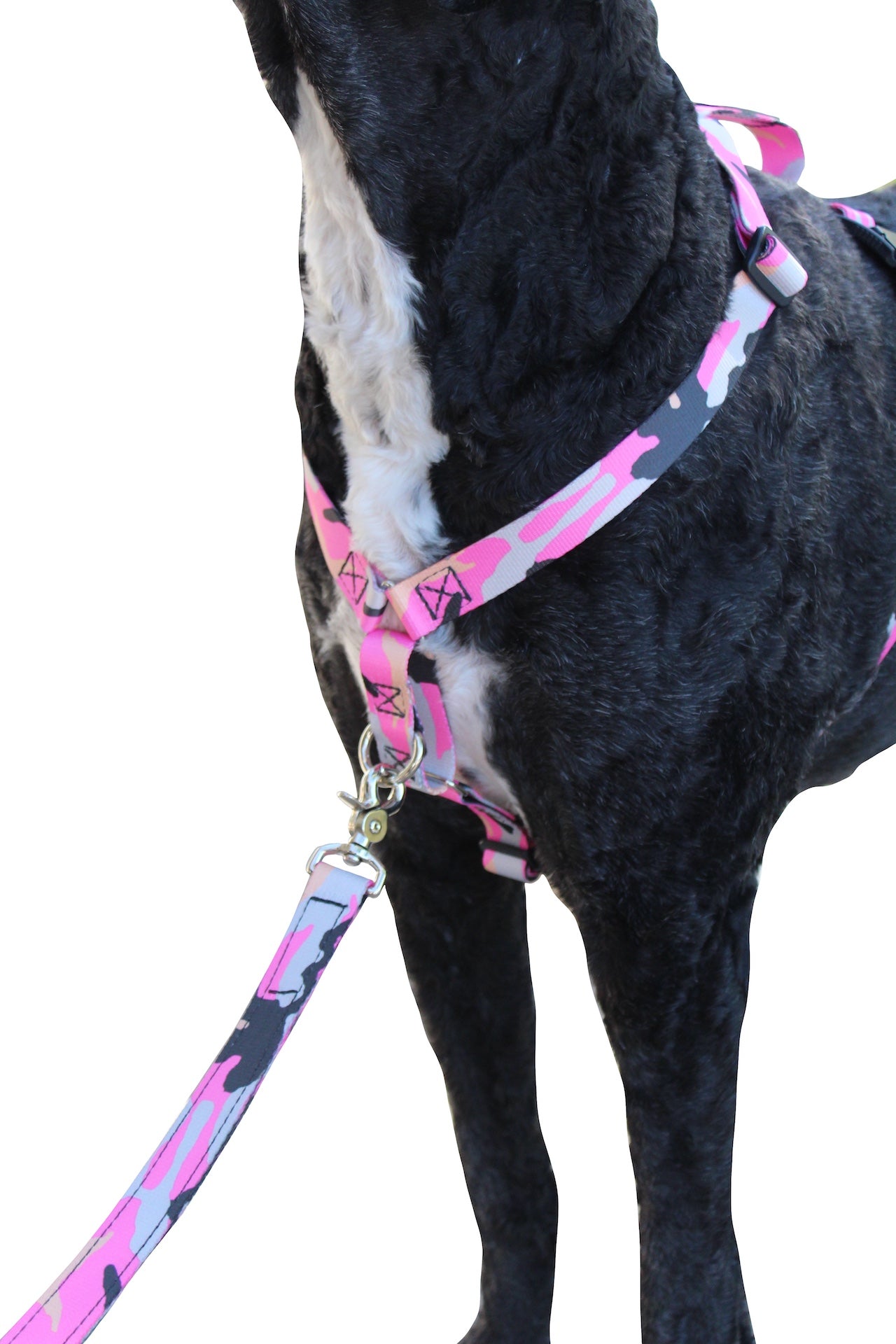 No pull, 3 in 1 Harnesses- Magnetic one handed buckle