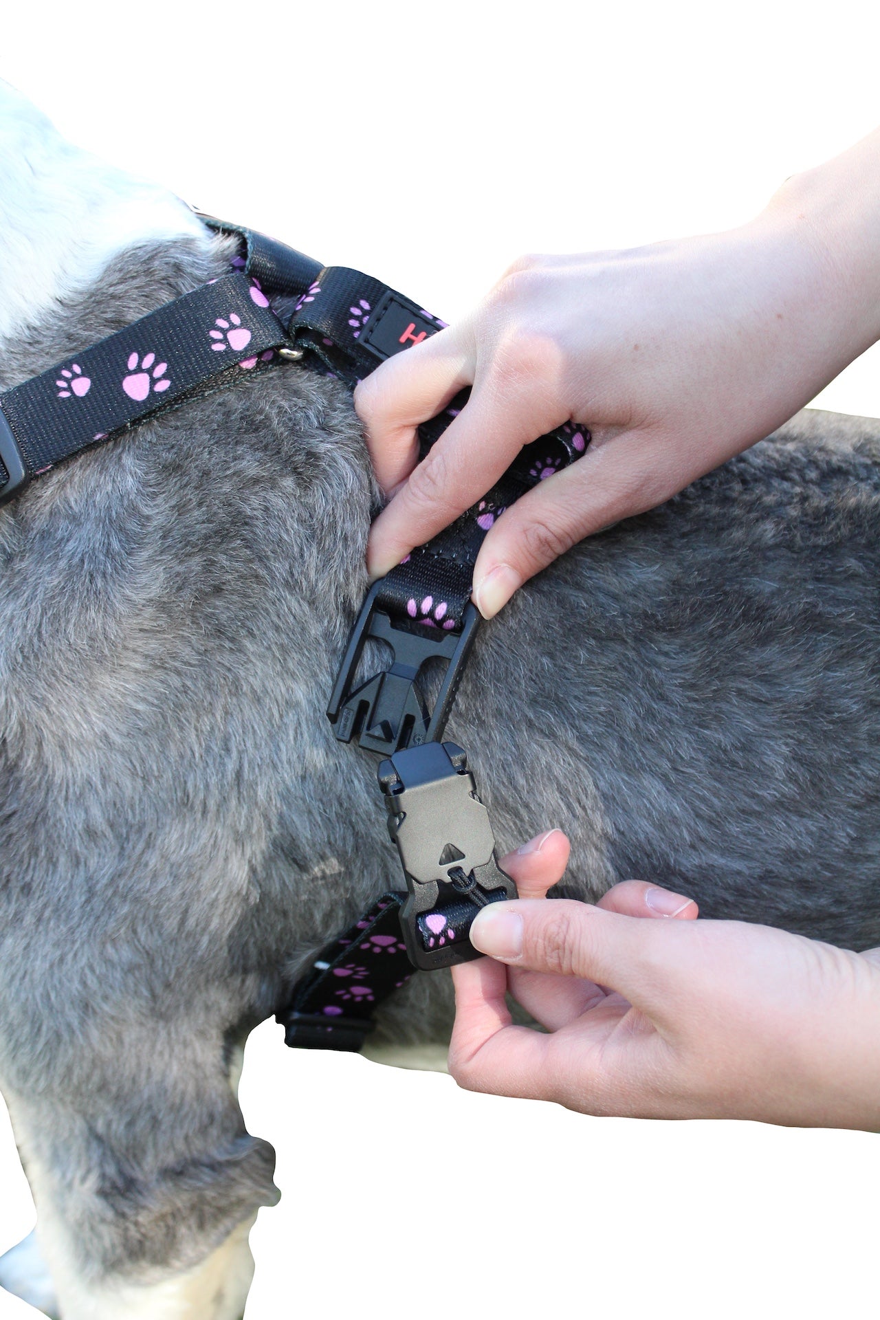 No pull, 3 in 1 Harnesses- Magnetic one handed buckle