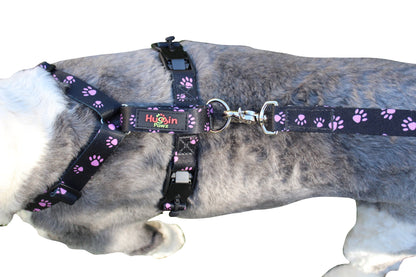 No pull, 3 in 1 Harnesses- MAGNETIC one handed buckle