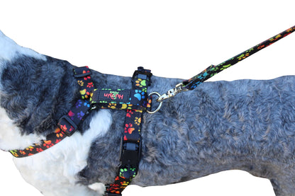 No pull, 3 in 1 Harnesses- MAGNETIC one handed buckle