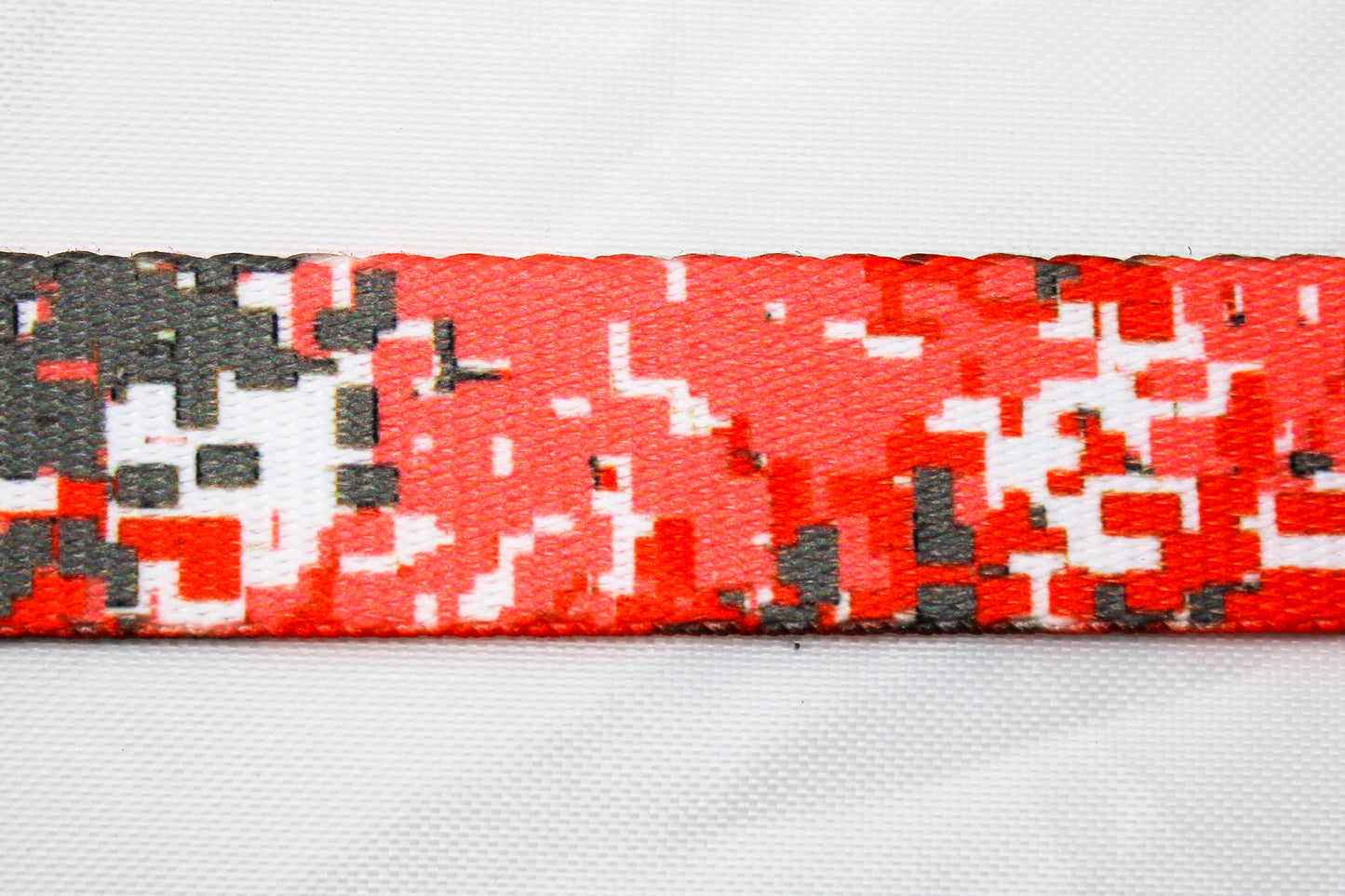 BIG DOG Collars w/handle