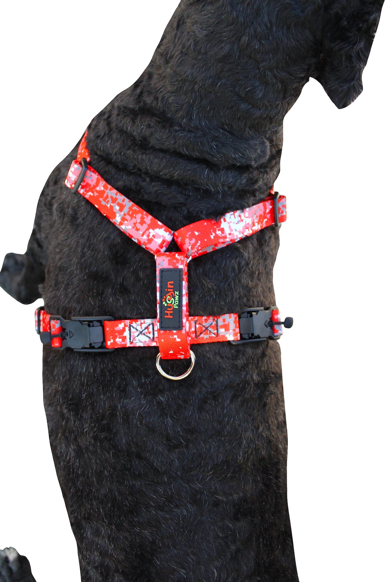 No pull, 3 in 1 Harnesses- MAGNETIC one handed buckle