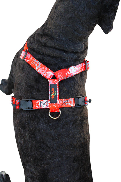 No pull, 3 in 1 Harnesses- MAGNETIC one handed buckle