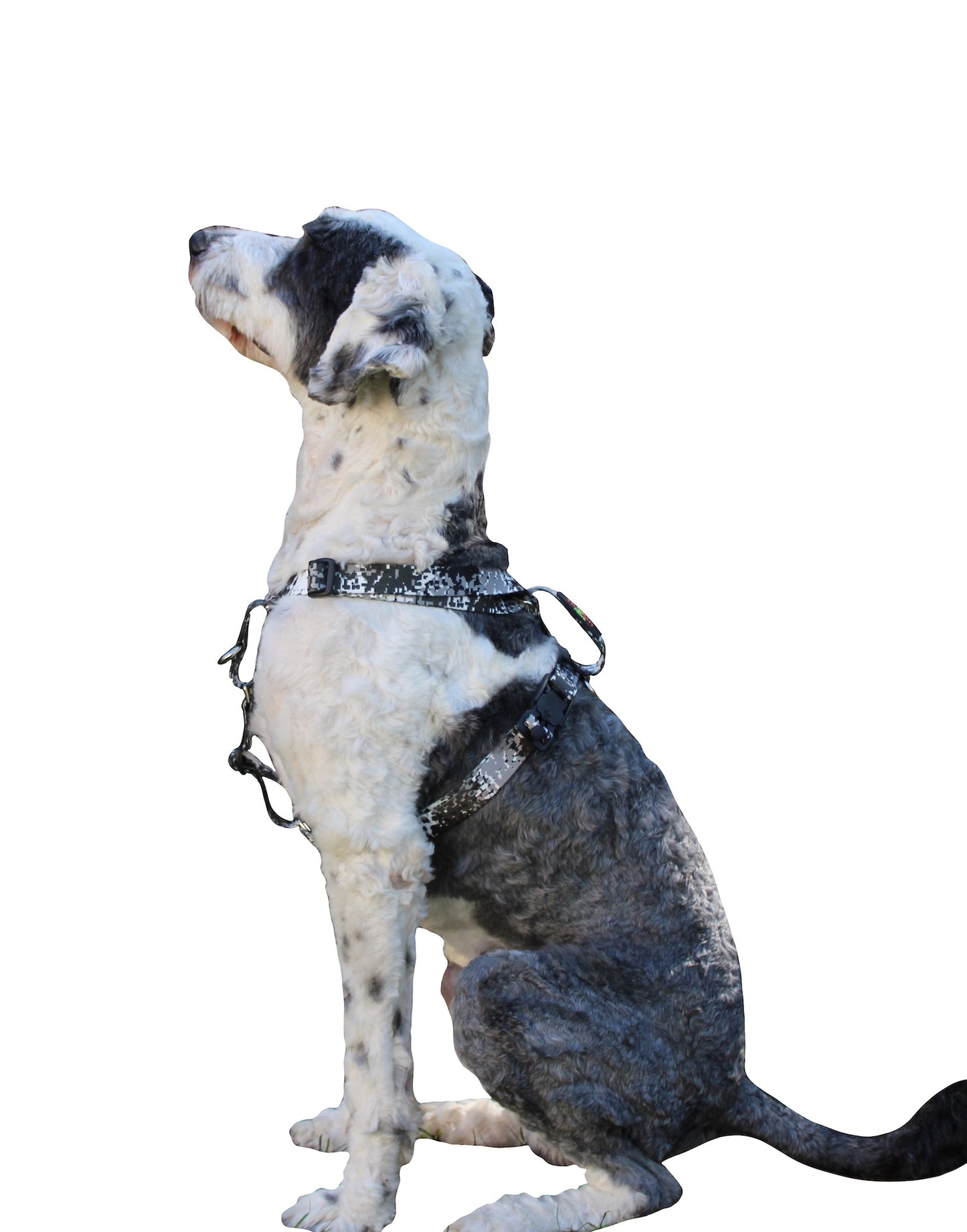 No pull, 3 in 1 Harnesses- Magnetic one handed buckle