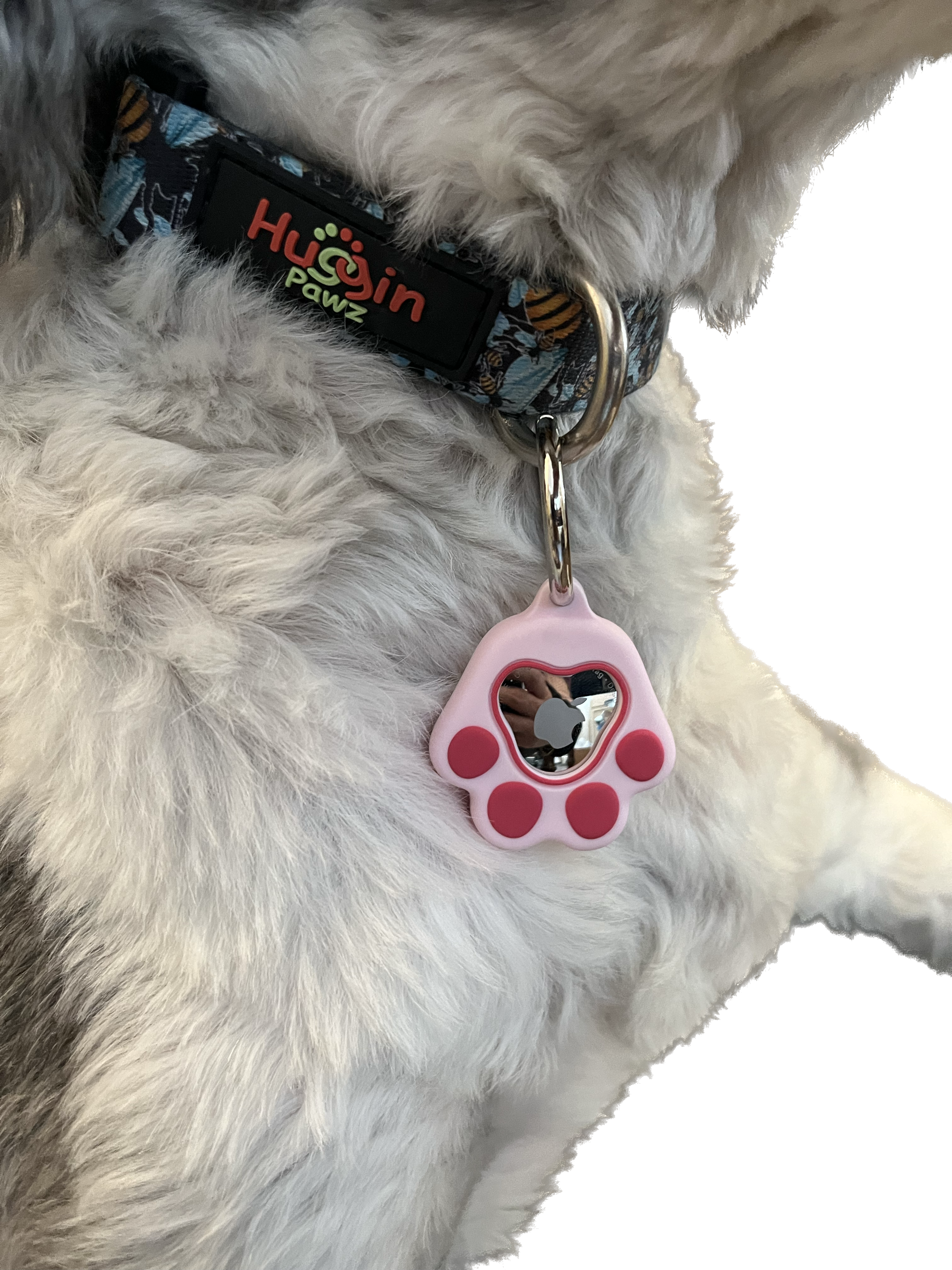 Dog AirTag Holder, Case for Dog Collar or Keychain