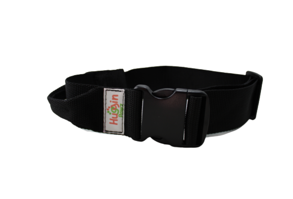 BIG DOG 2 Inch Collars