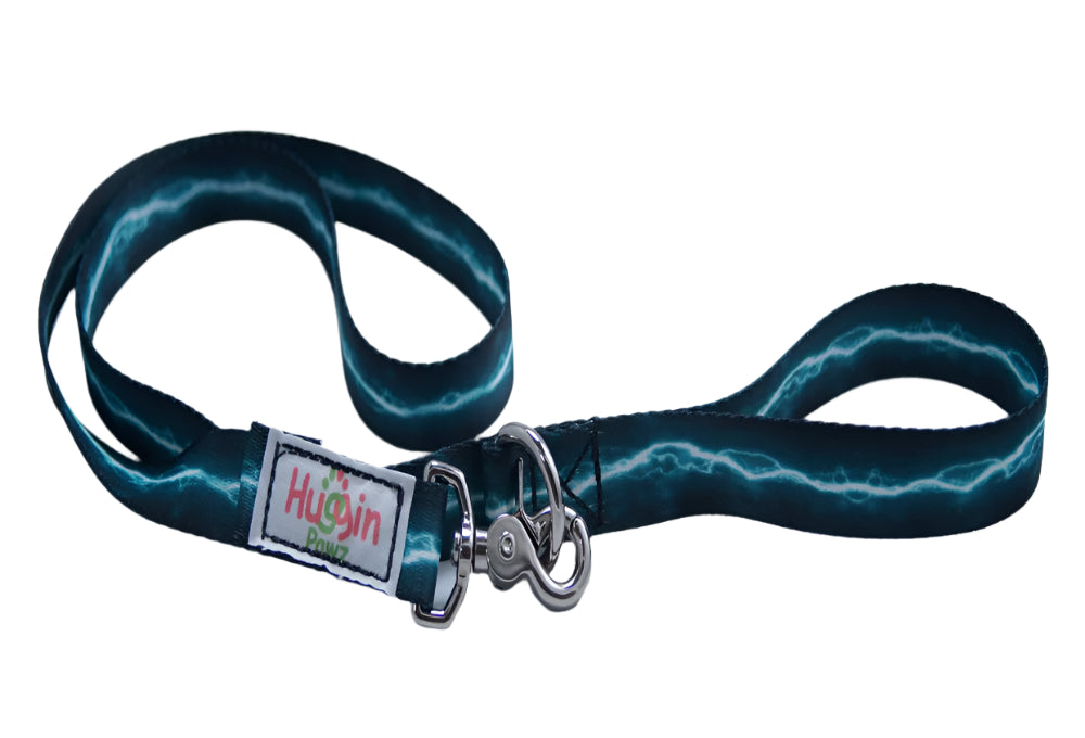 3/4" webbing -4 Ft Leashes-Smaller breeds- Stylish and Secure