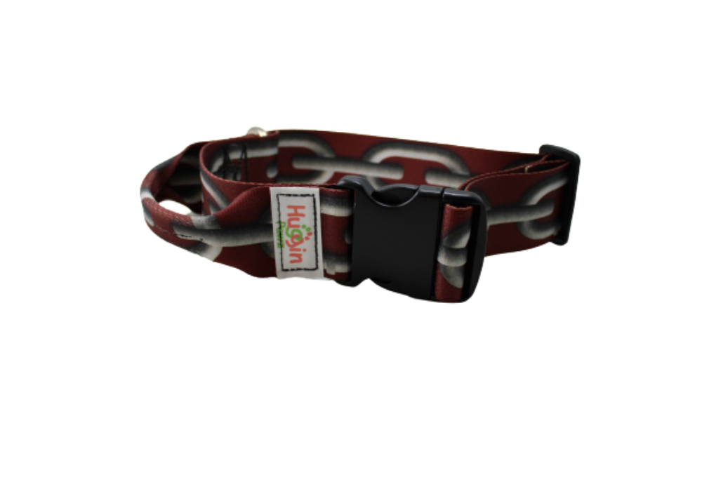 BIG DOG 2 Inch Collars