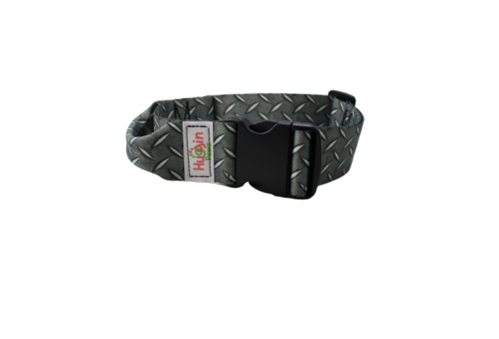 BIG DOG 2 Inch Collars