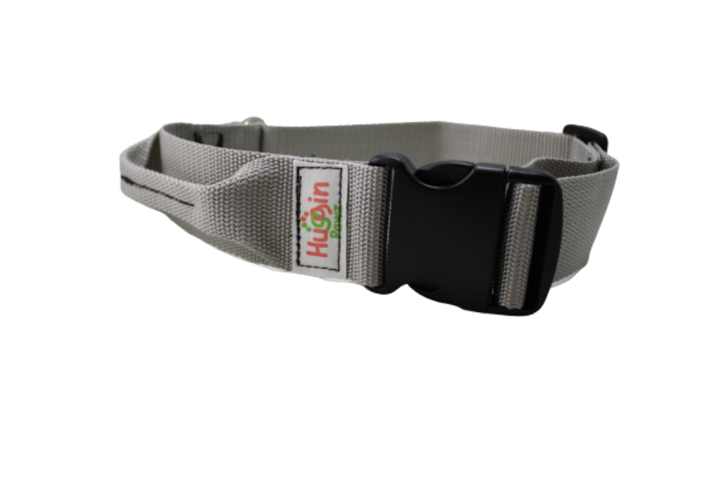 BIG DOG 2 Inch Collars