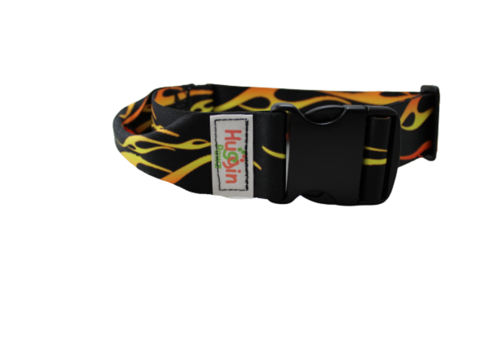 BIG DOG 2 Inch Collars
