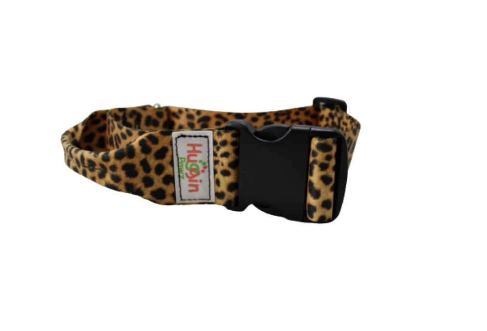 BIG DOG 2 Inch Collars