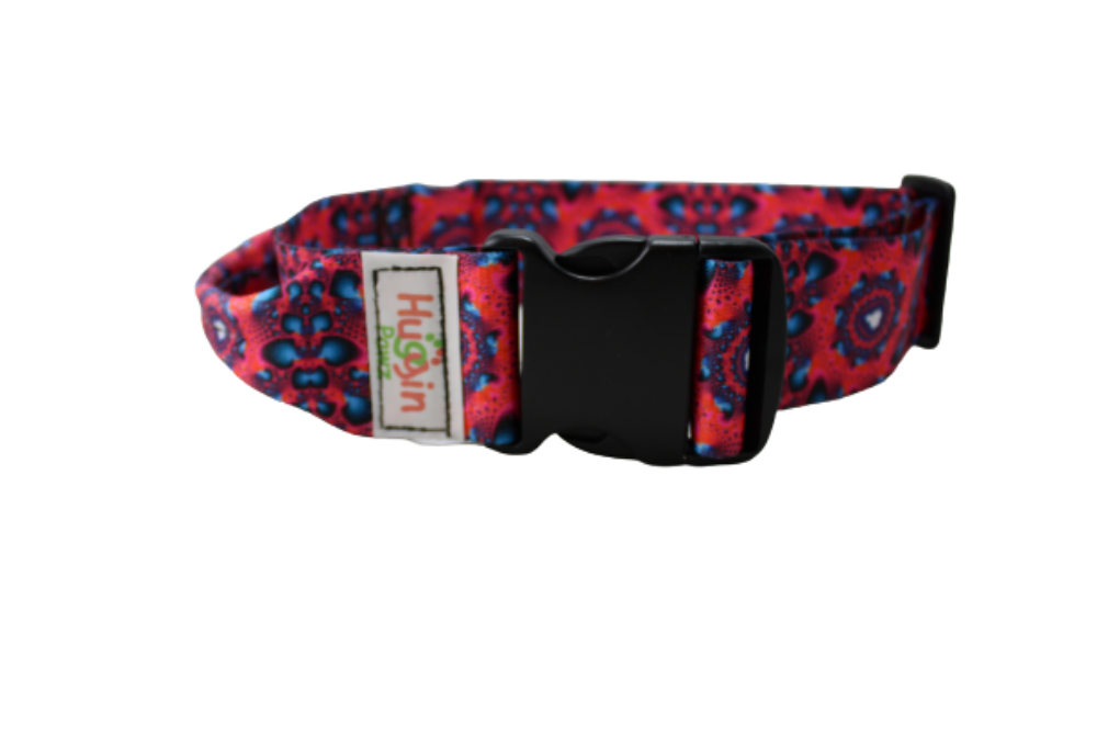 BIG DOG 2 Inch Collars