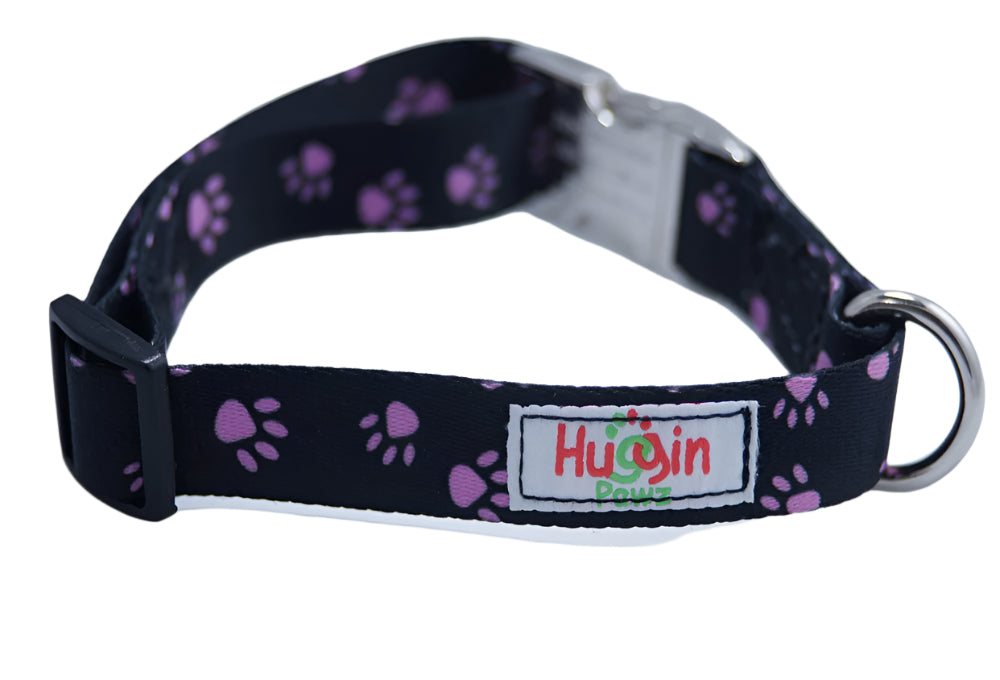 Aluminum Buckle Collar